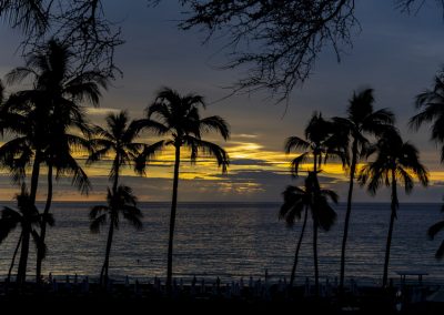 sunset under palms