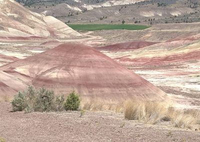 Painted hills view