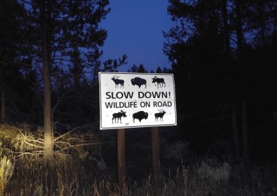 sign slow down